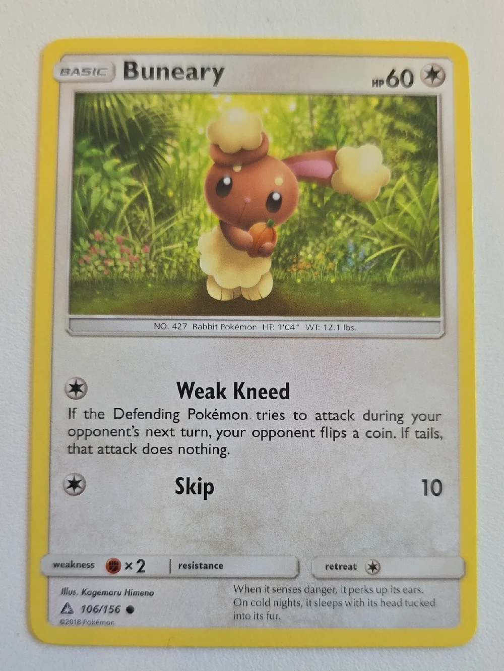 Pokemon Buneary And Buneary Holo Card Lot
